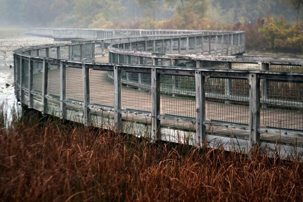 Schöne eiserne Brücke über den See