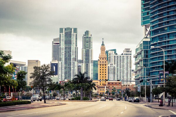 High-rise buildings of the USA. Palm trees on the road