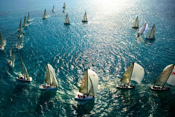 Yachts sailing in the ocean