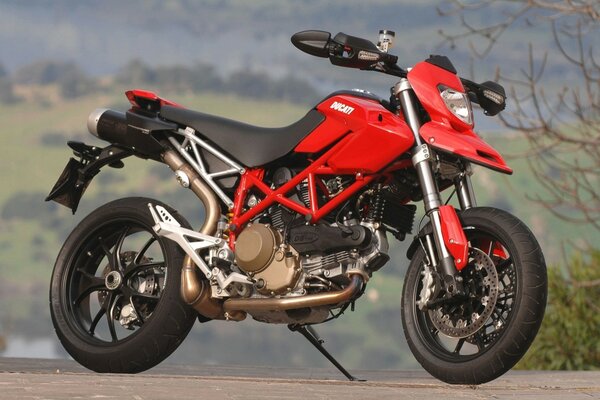 Rotes Ducati-Motorrad in der Natur