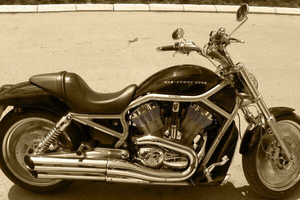 Harley davidson moto cool gars