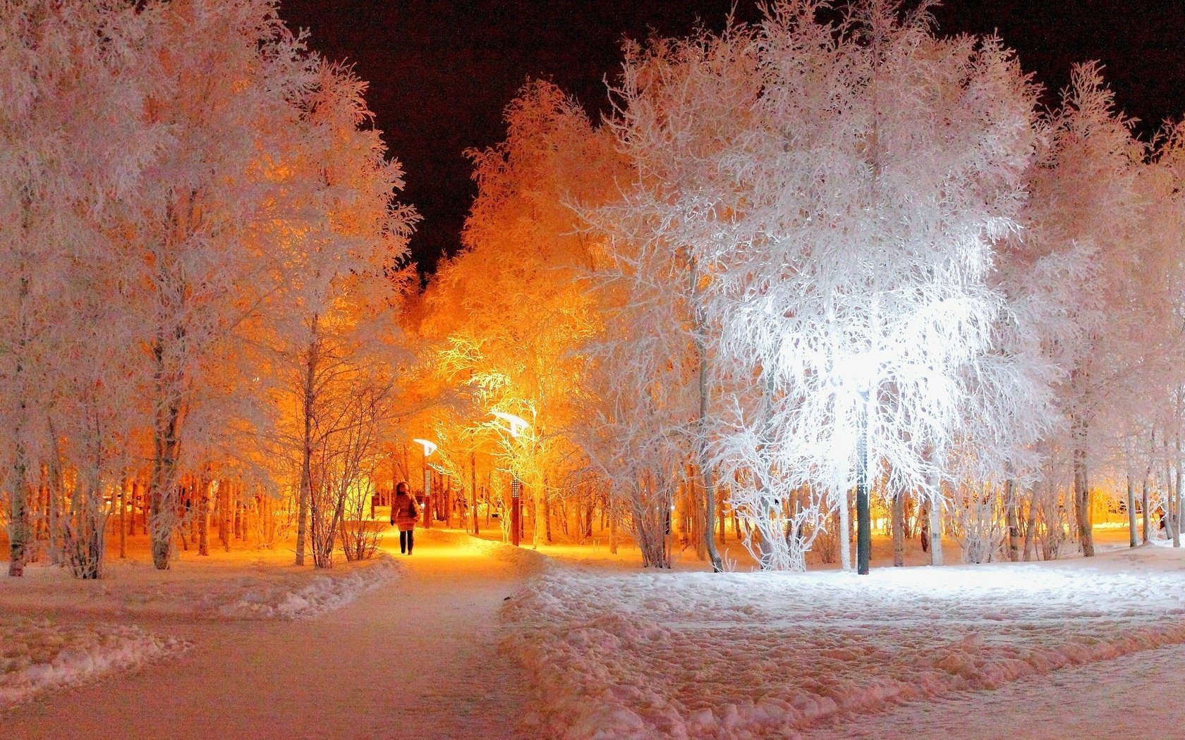 trees night frost winter park lantern the evening alley girl