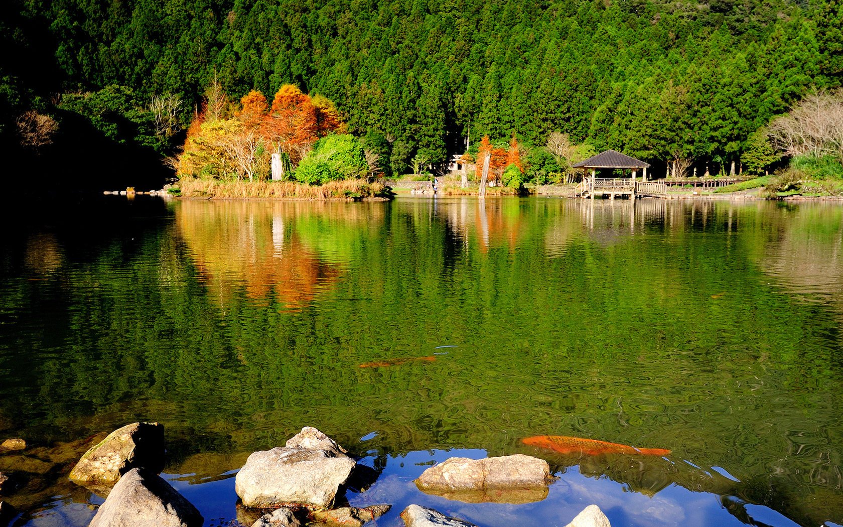 parque lago naturaleza piedras bosque