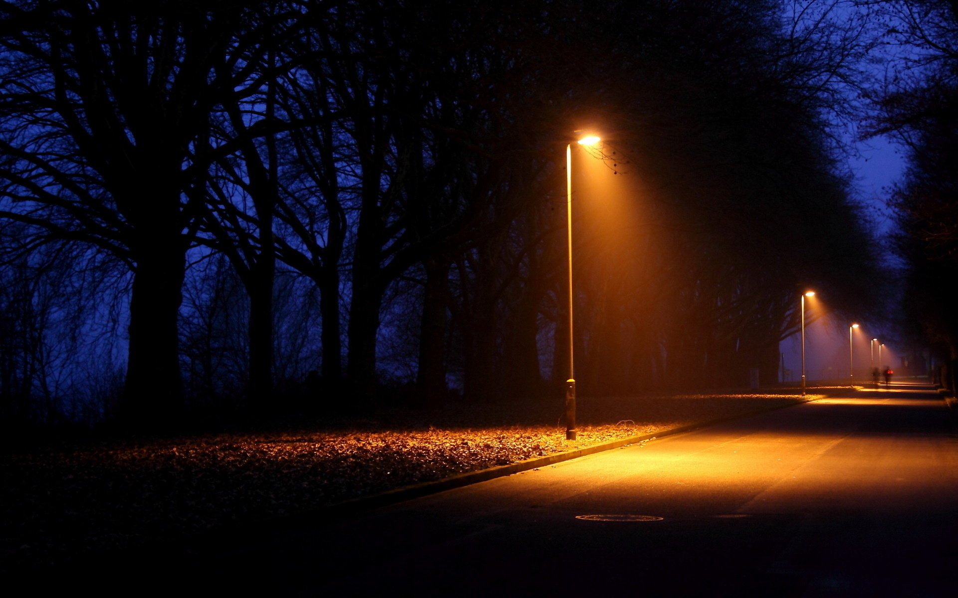 park nacht stadt