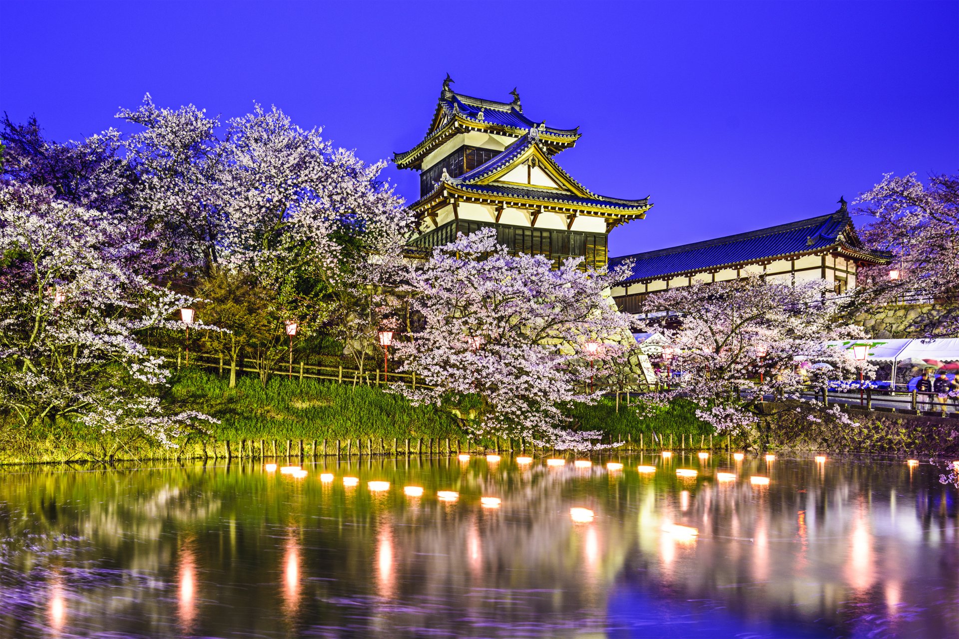 koriyama schloss yamatokoriyama japan koriyama schloss teich frühling park bäume sakura reflexion lichter