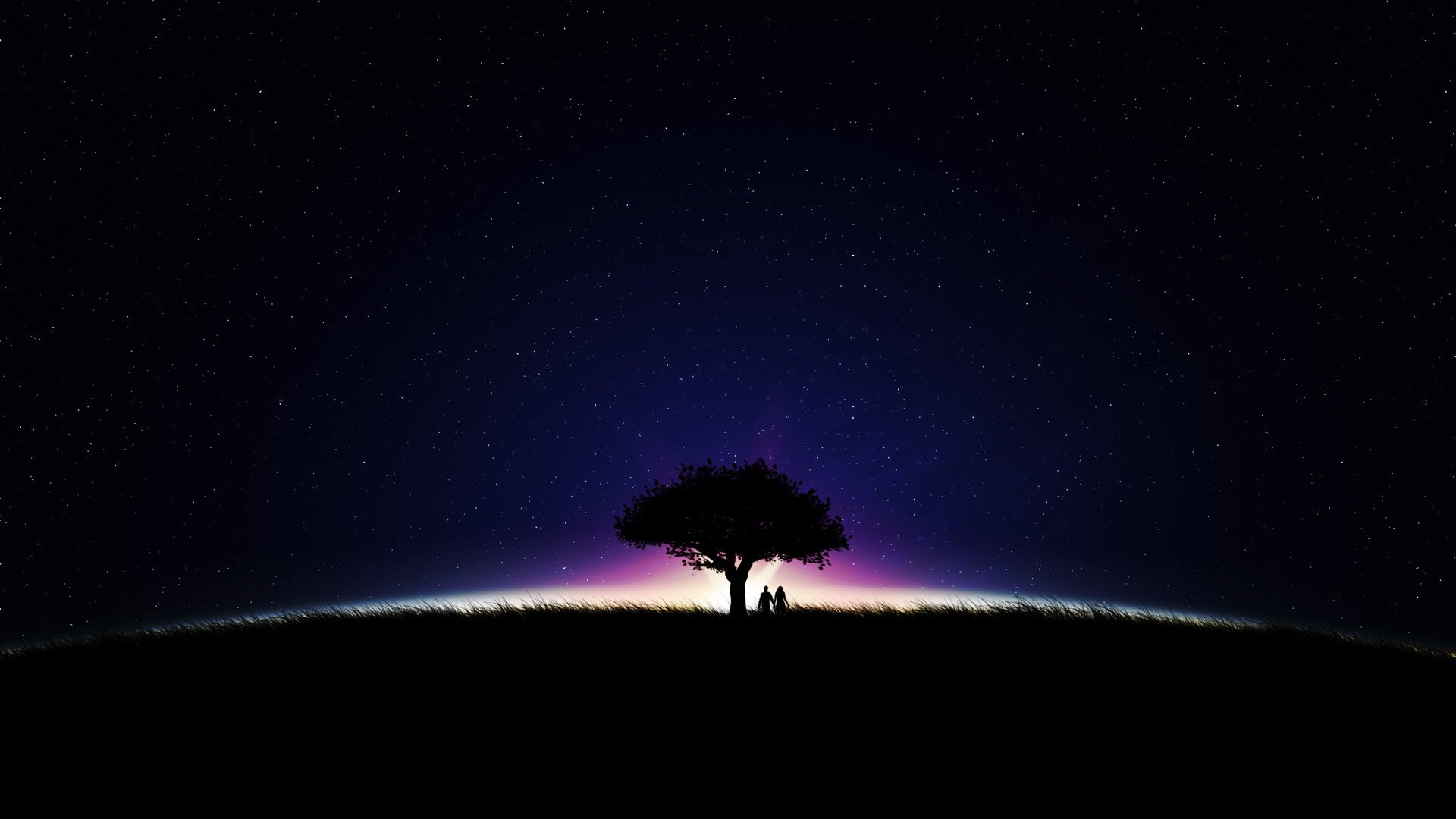 night tree stars the sky