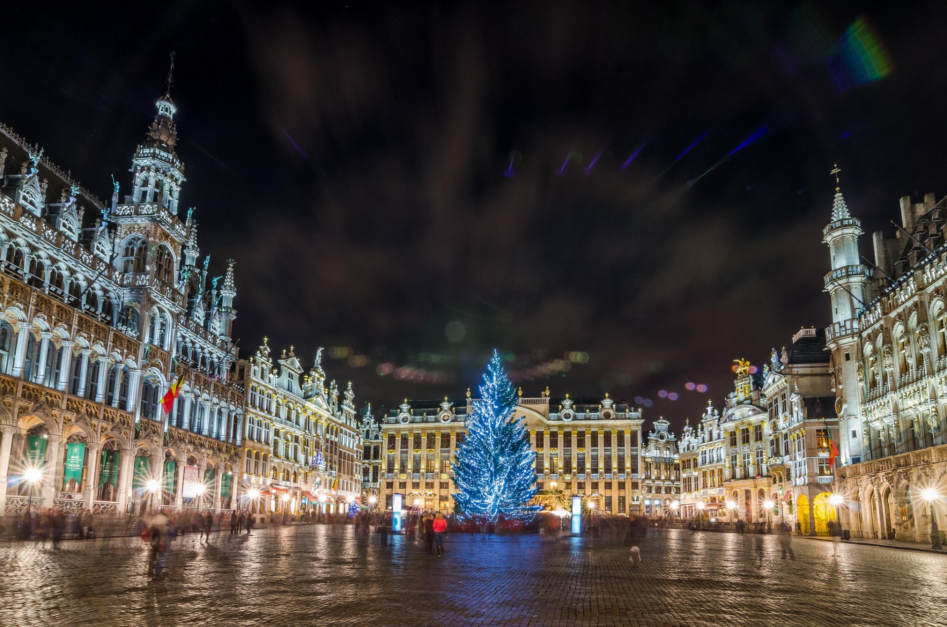 belgio bruxelles grand place albero di natale natale notte luci