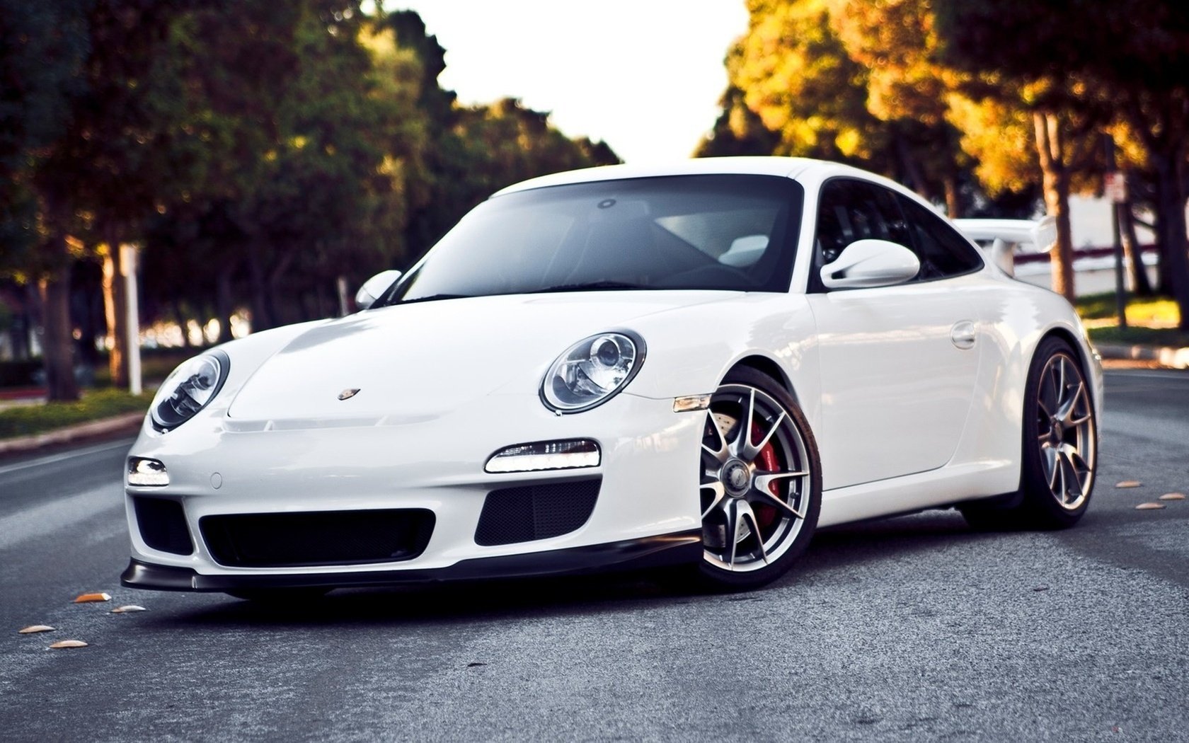 white porsche gt3 911