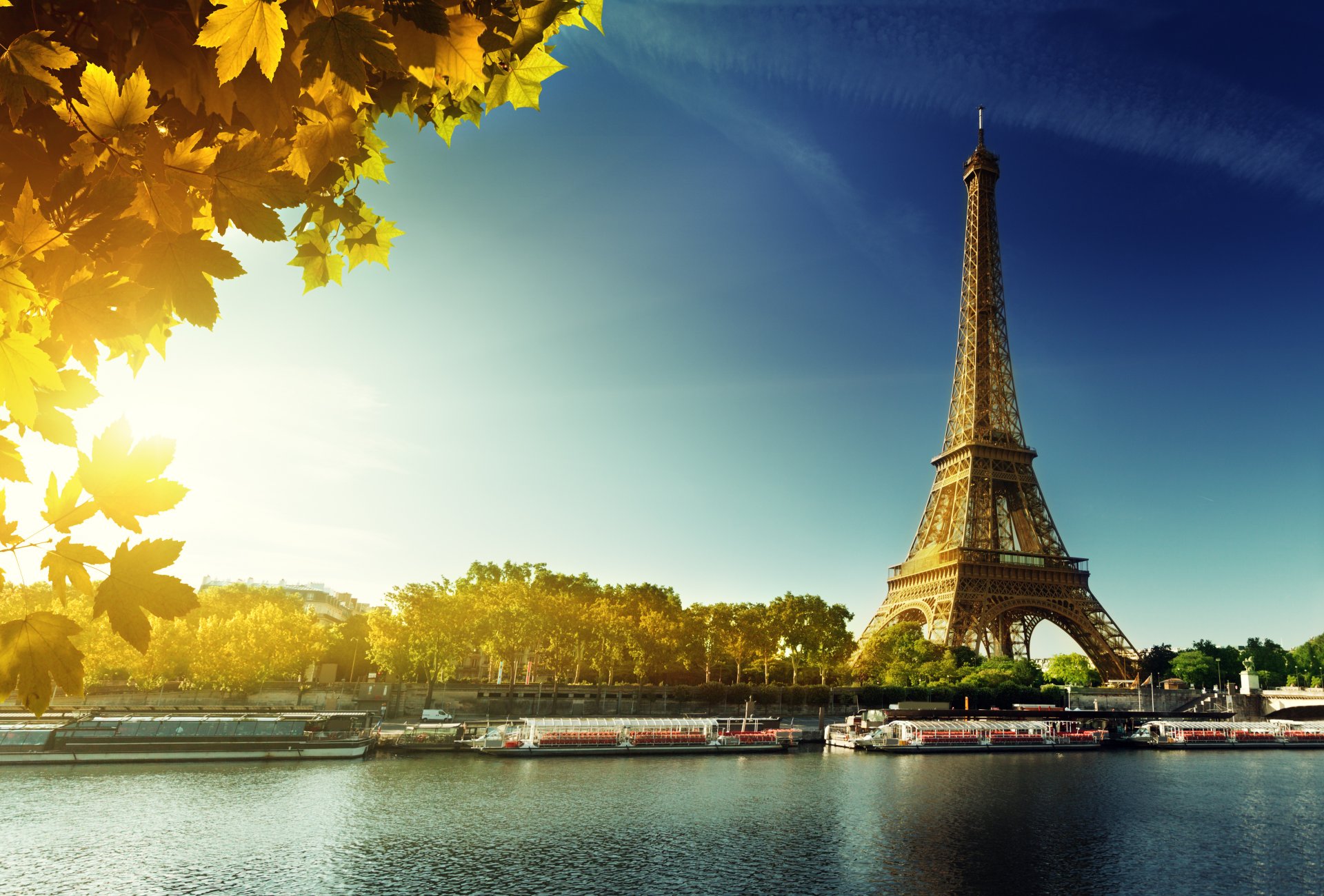 paris eiffelturm frankreich herbst blätter