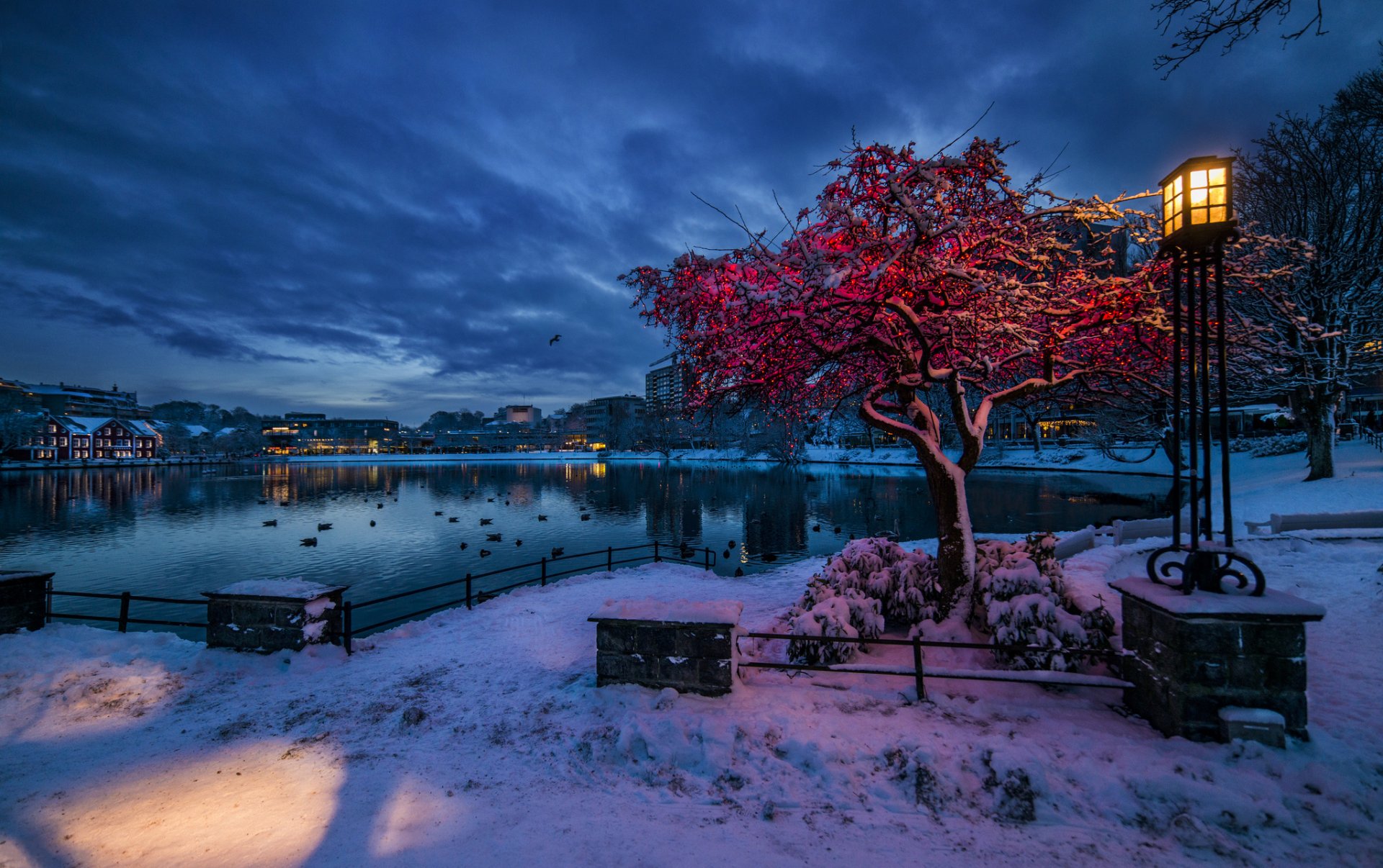 noruega rugaland stavanger invierno nieve noche del crepúsculo luces linterna