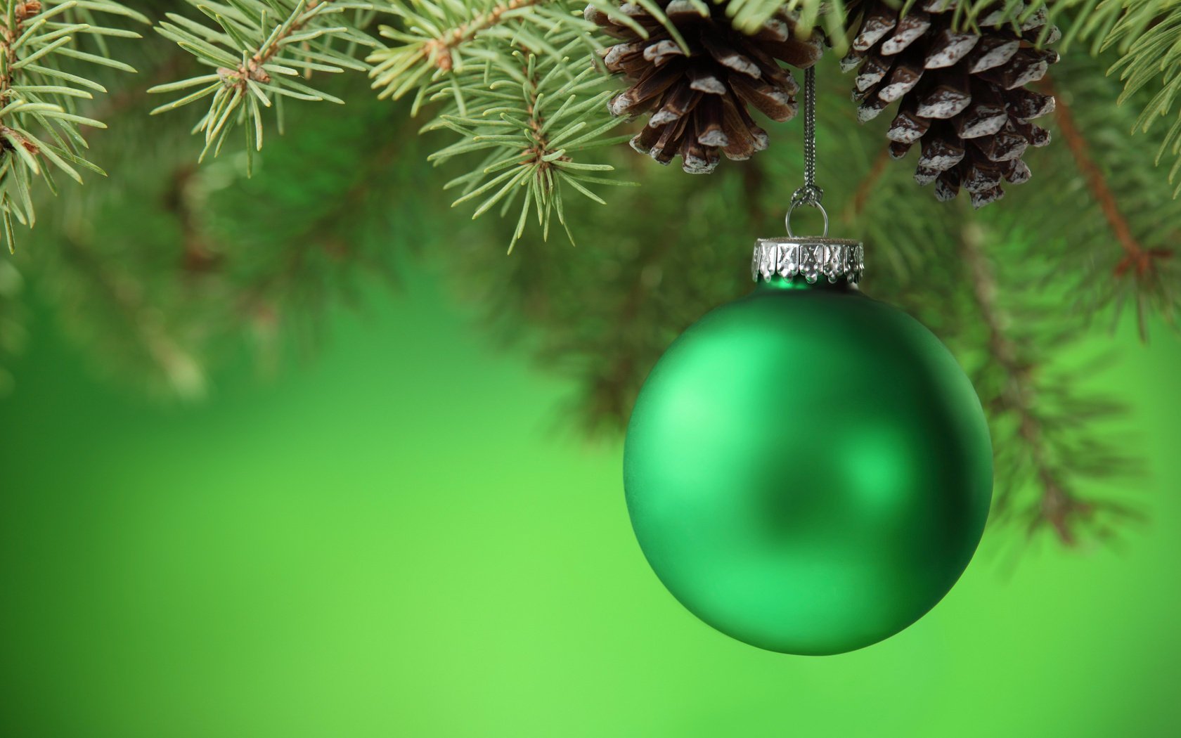 christmas tree ball cones green branch ball