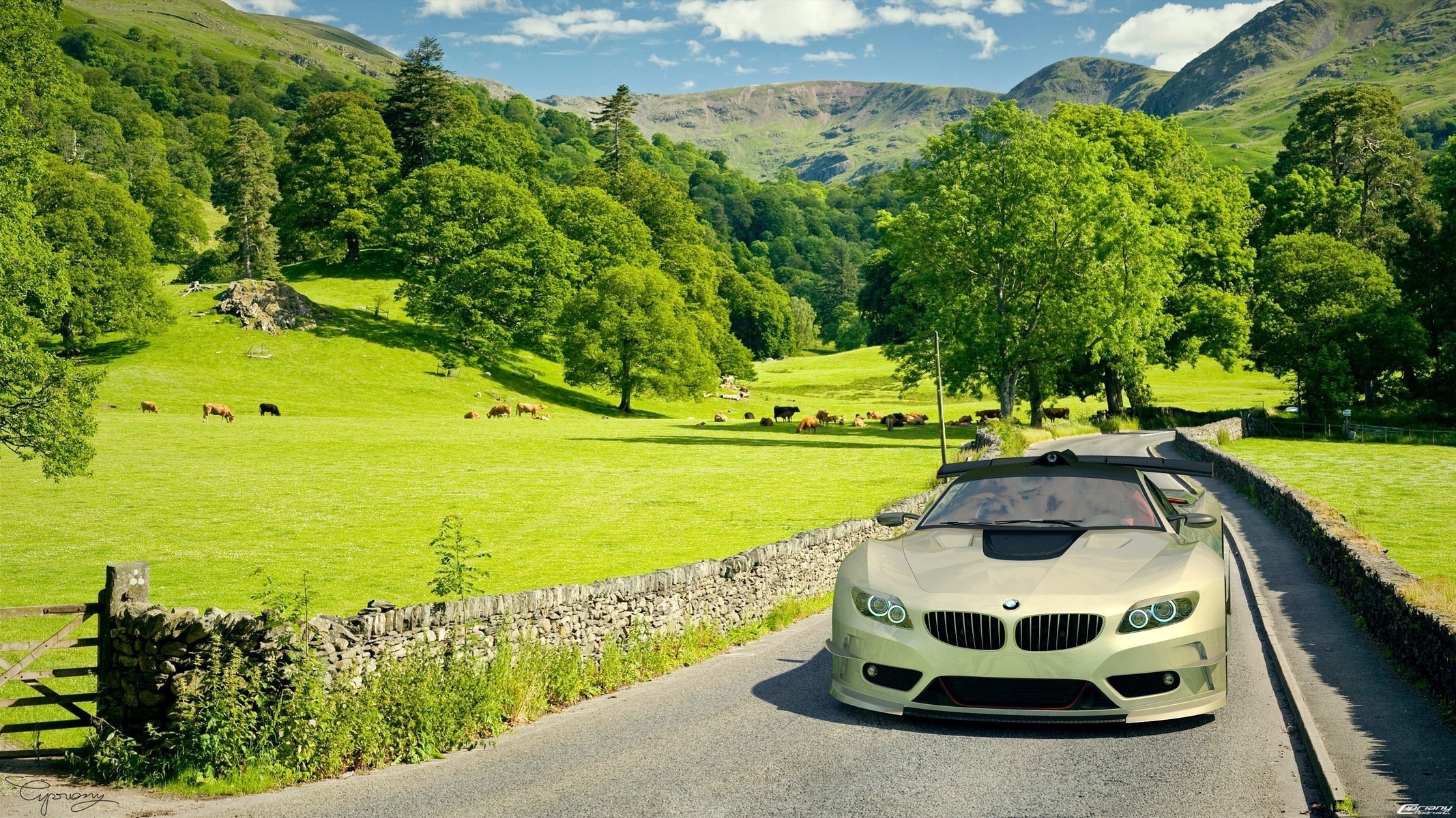 champ bmw voiture voiture voiture bmw