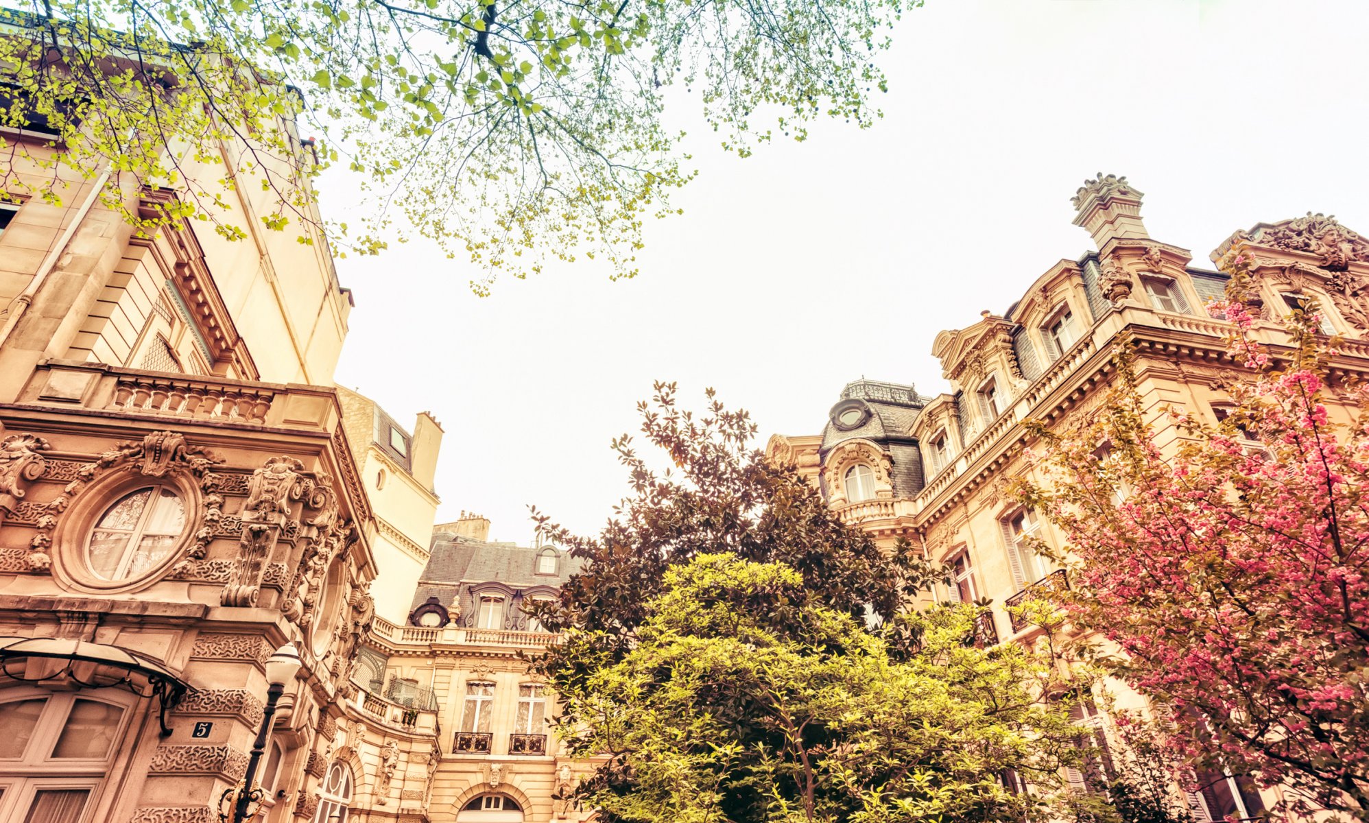 parís francia ciudad primavera floración árboles casas edificios arquitectura naturaleza