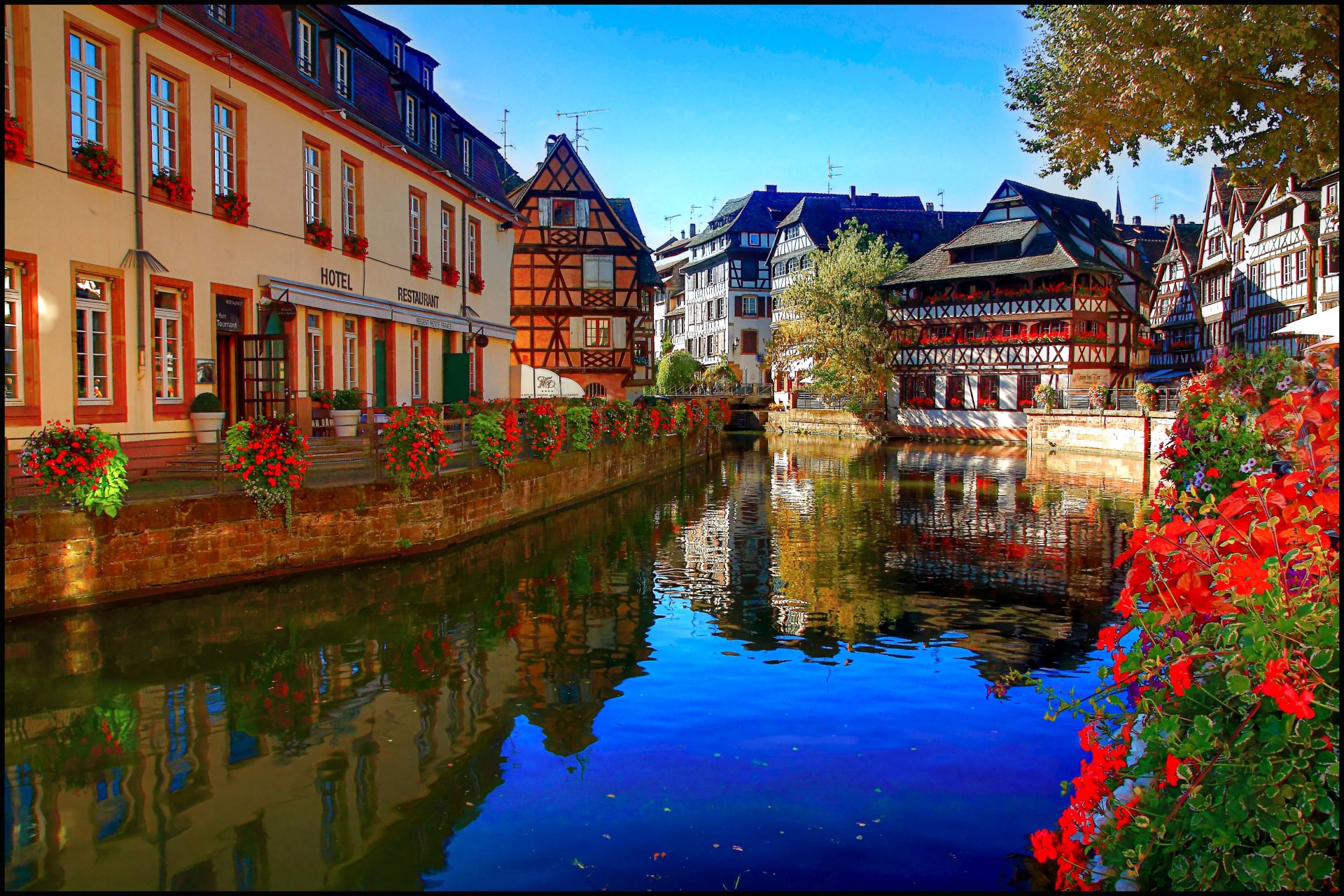 estrasburgo estrasburgo francia río ile orillas paseo marítimo flores casa hotel reflexión