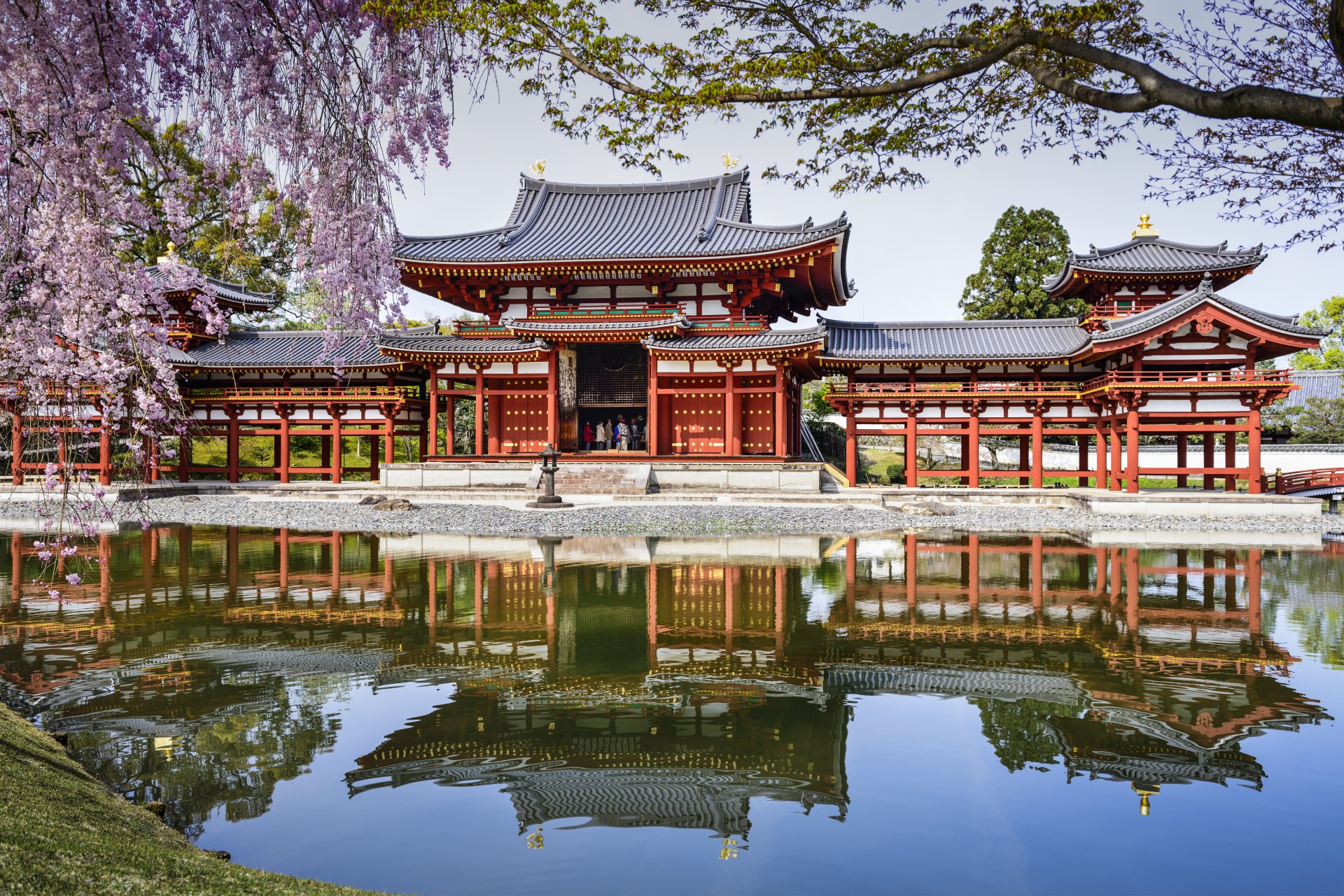 byodo-in temple uji japan temple byōdō-in pond reflection spring sakura