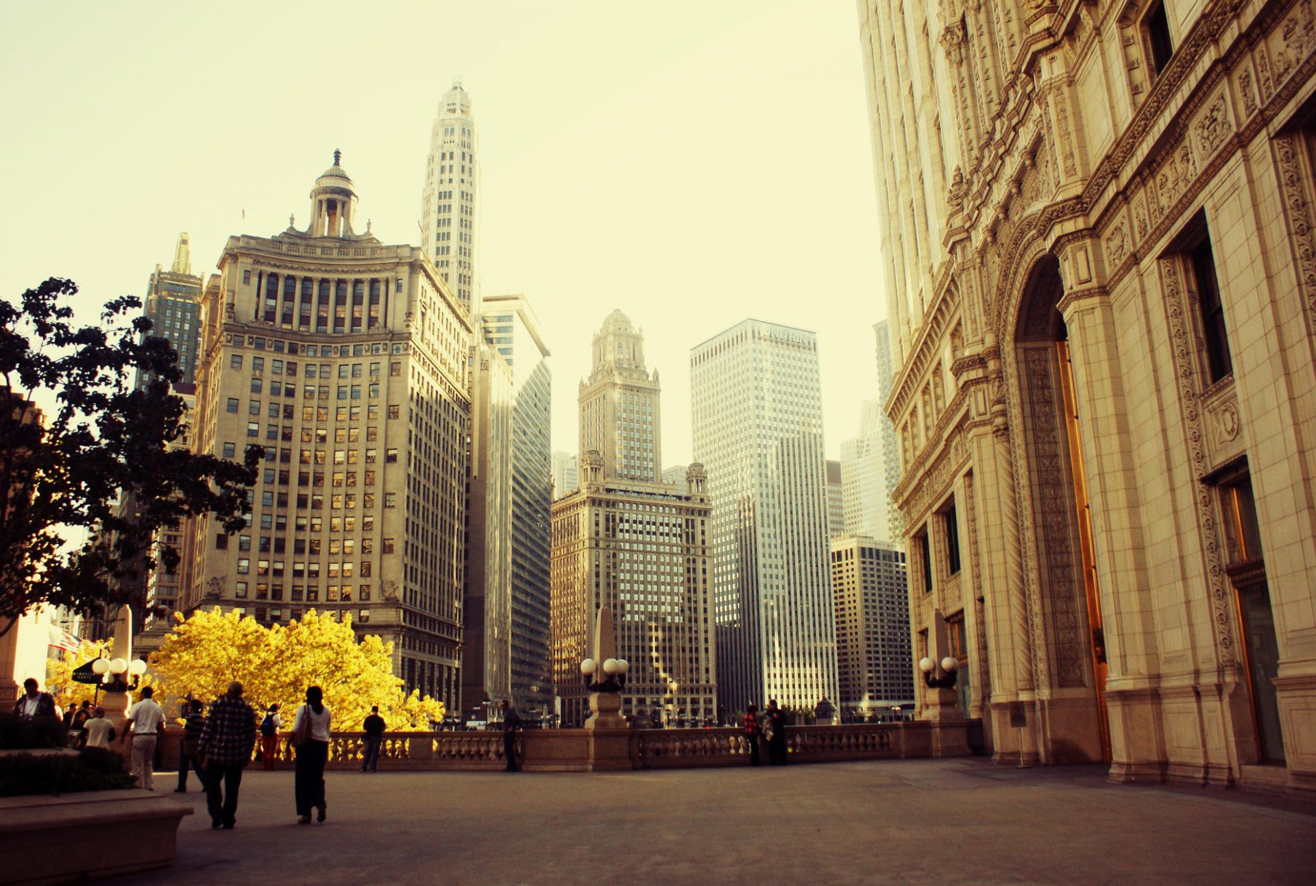 chicago illinois stadt wolkenkratzer frühling