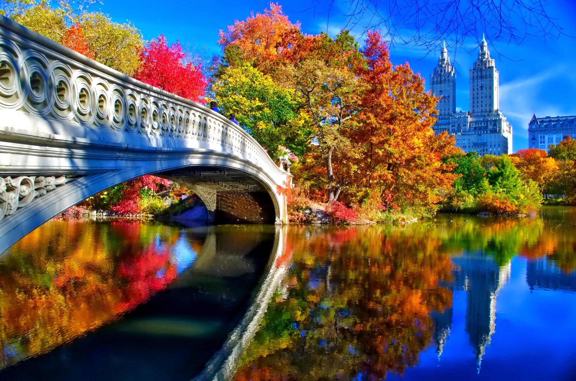 new york united states central park sky bridge tree leaves autumn landscape