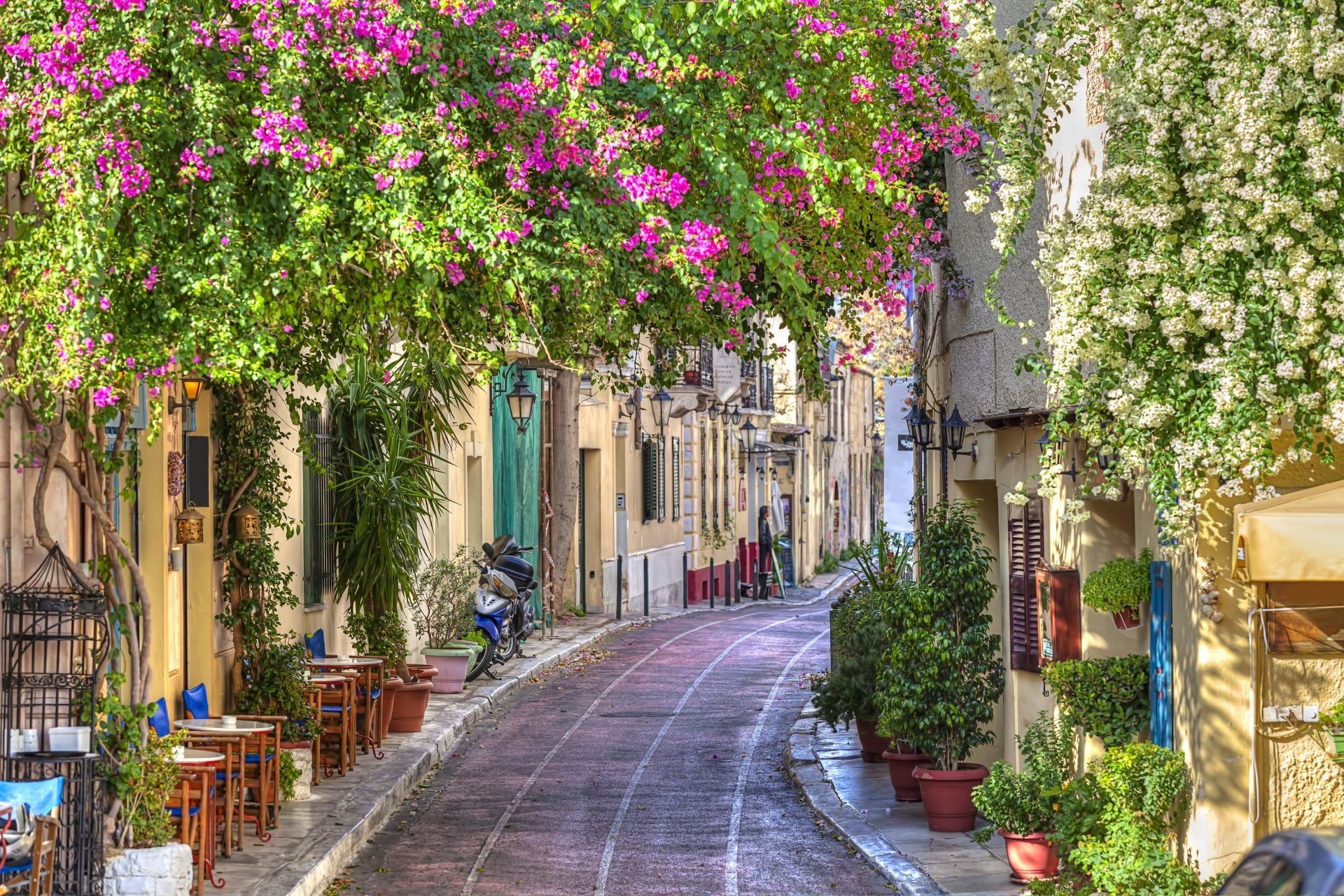 grèce hdr fleurs plantes route rue beauté