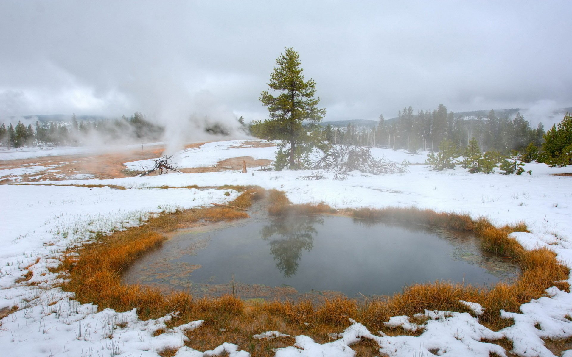 autumn snow nature landscape