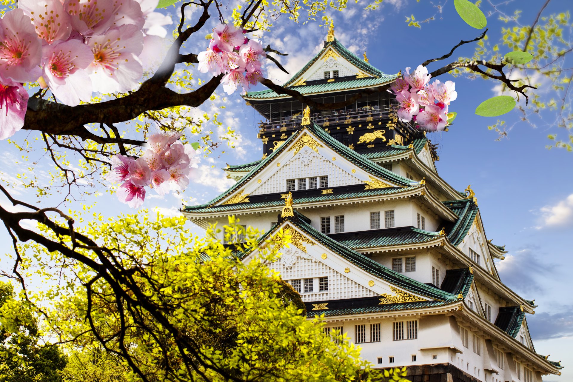 château japonais japonais japon sakura floraison