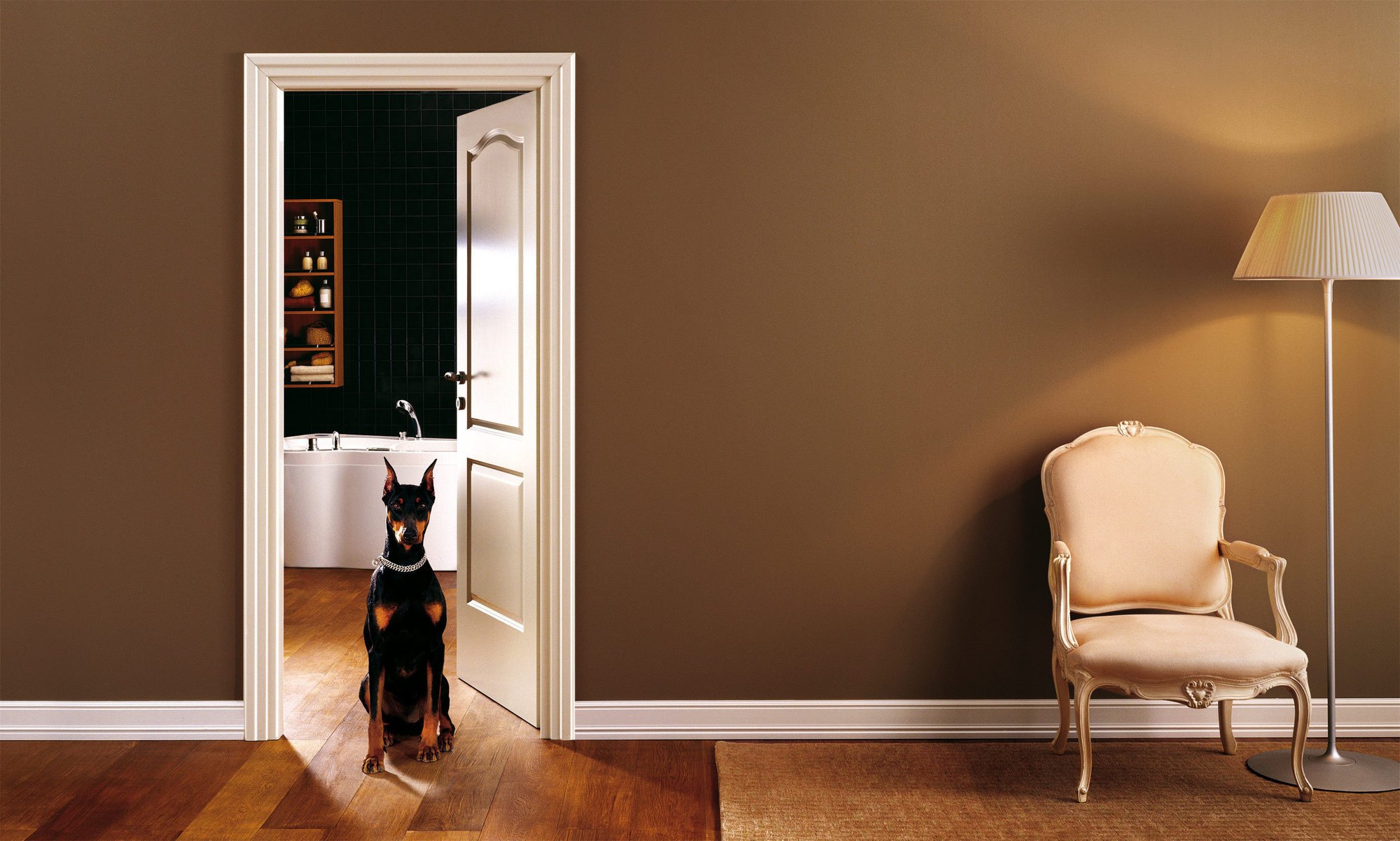 intérieur chaise chien salle de bain