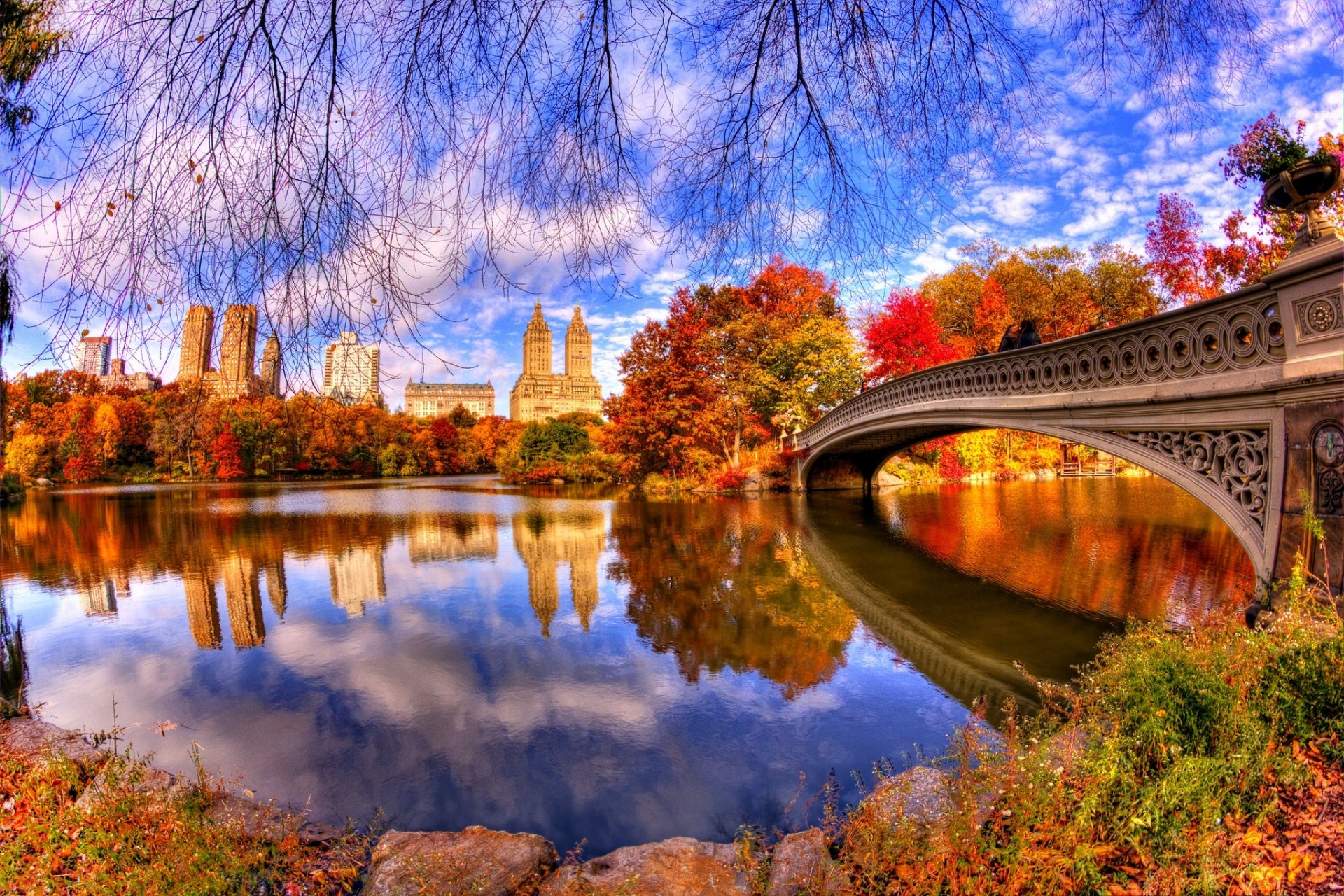 automne nature parc arbres feuilles eau pont réflexion architecture parc central vue promenade architecture