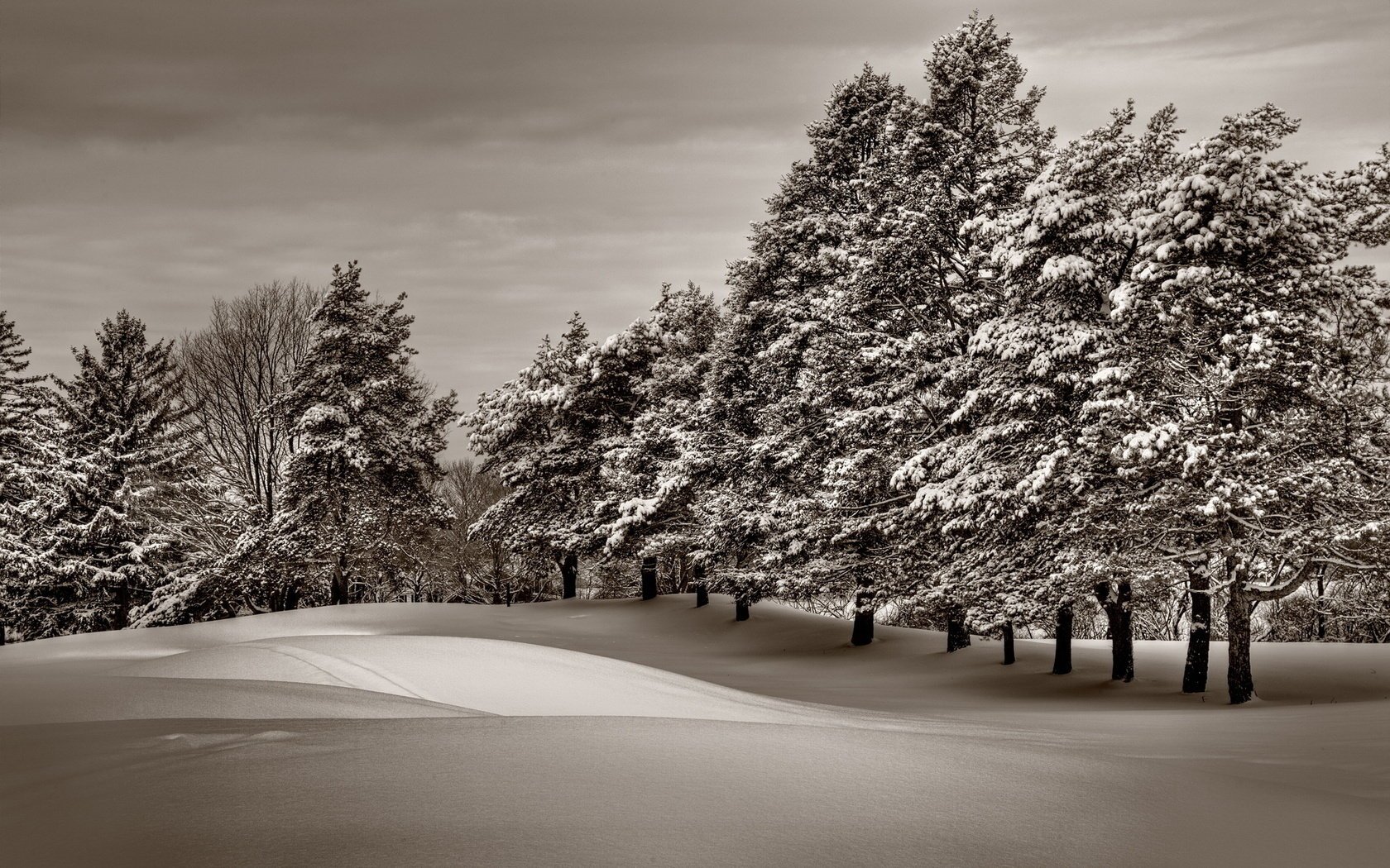 paesaggio invernale inverno neve