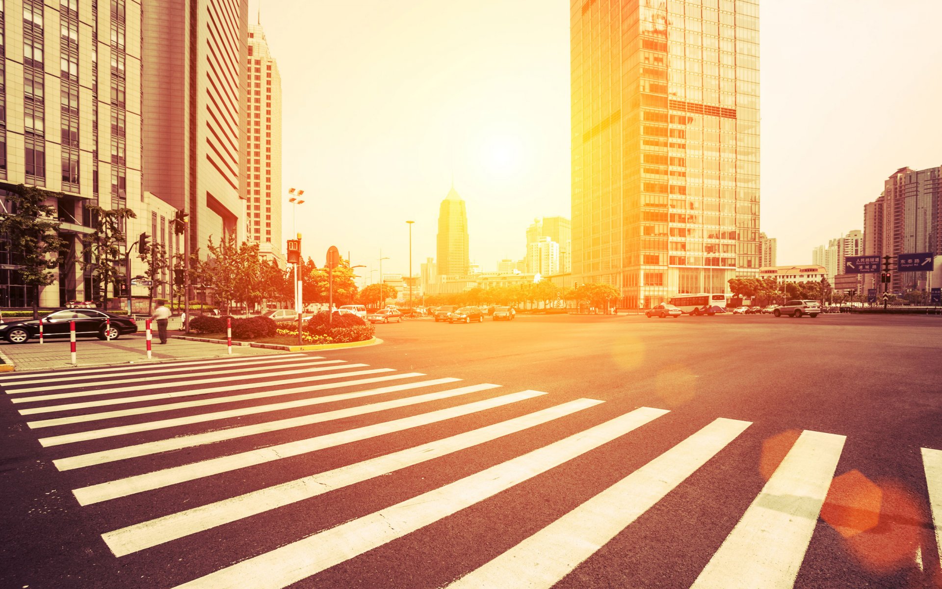 stadt amerika usa staaten straße straße straße häuser autos auto menschen fußgänger leben licht sonne morgen gebäude wolkenkratzer zeichen zebra bäume im freien