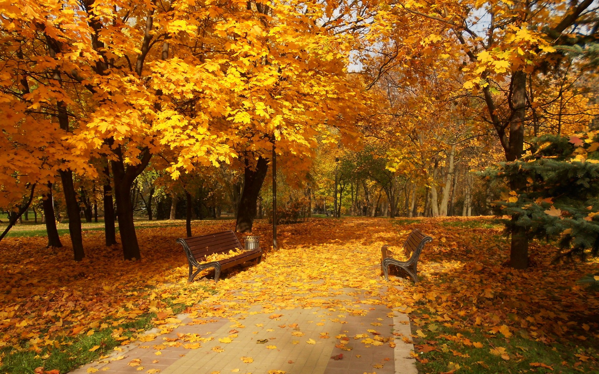 stadt park herbst