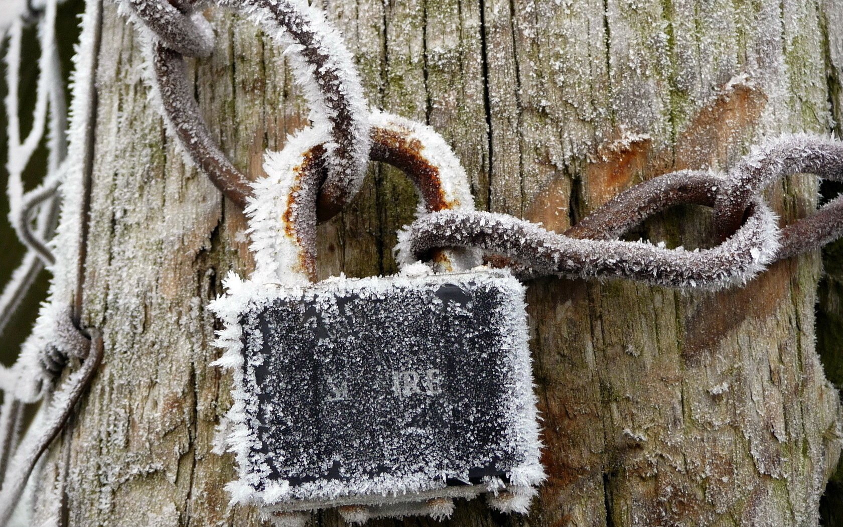 frost macro castle