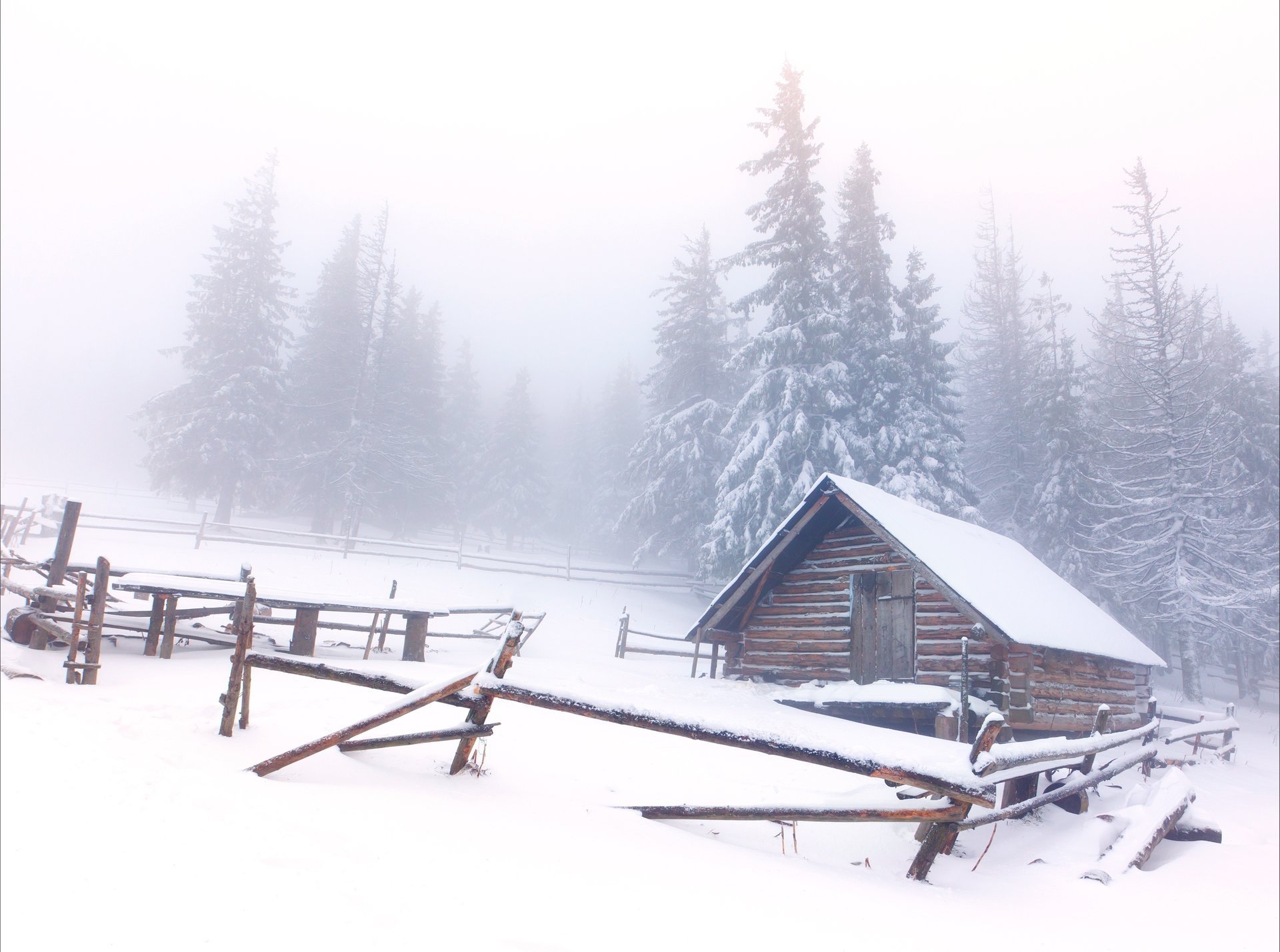 casa invierno nieve árboles de navidad