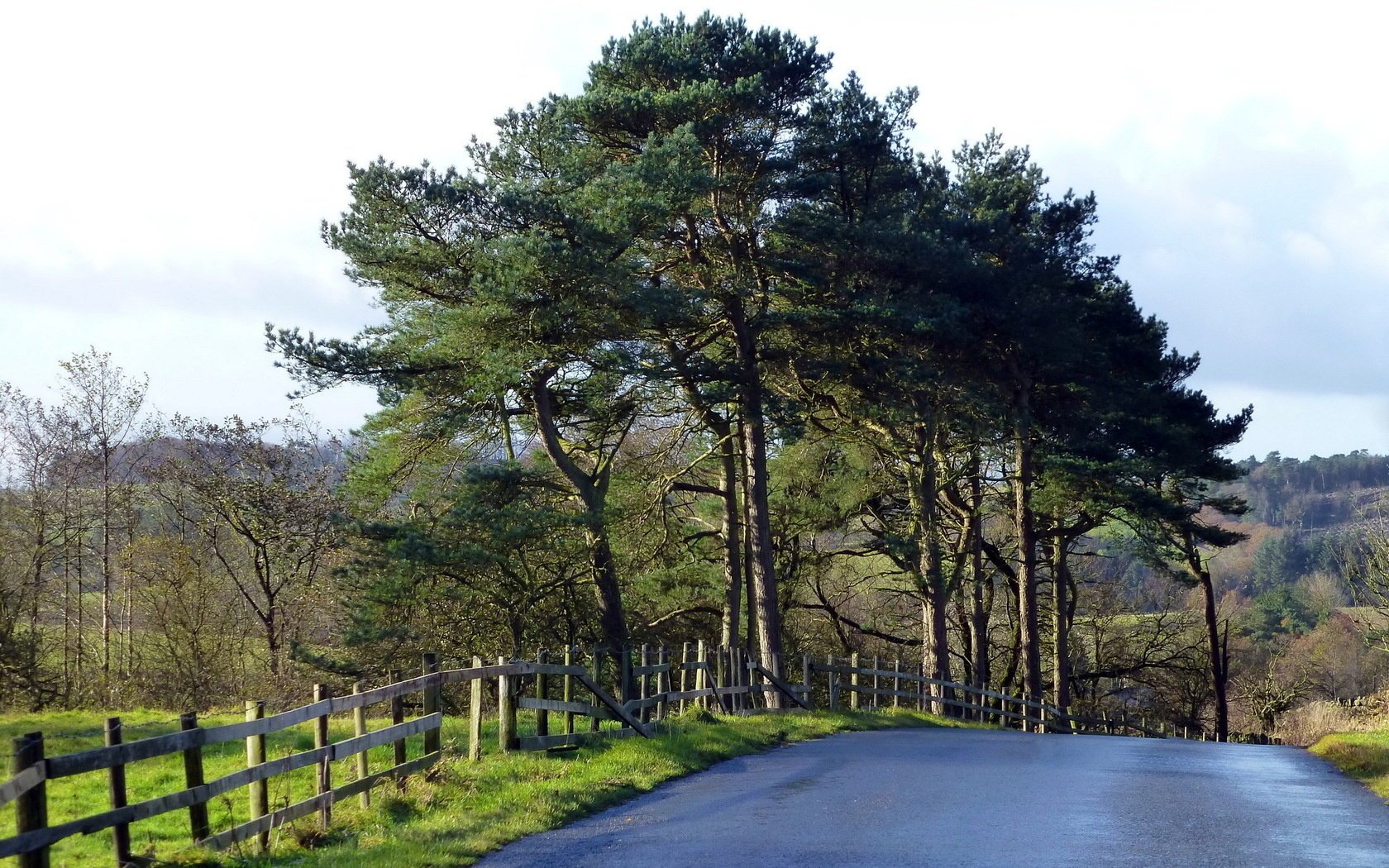 the fence road landscape