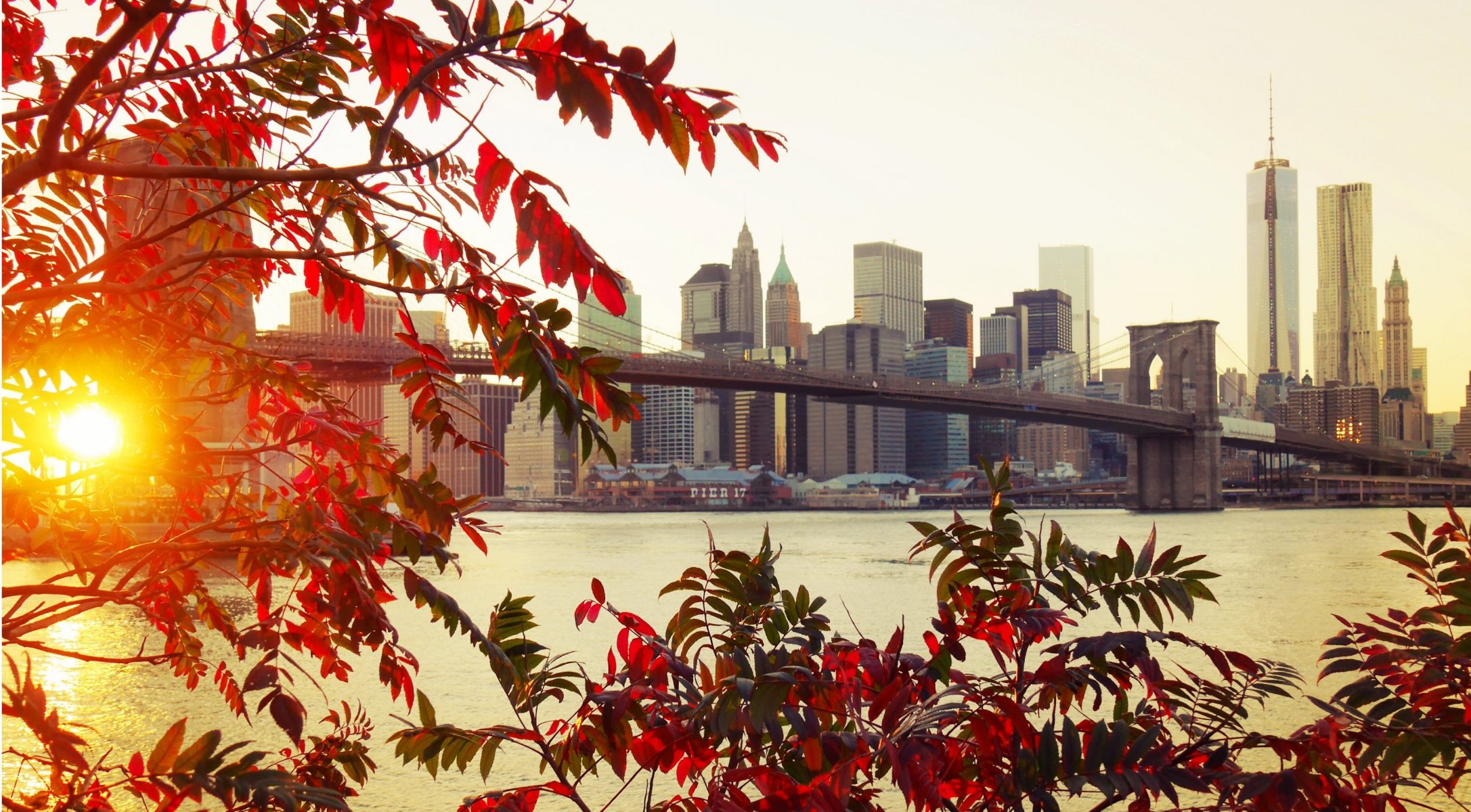 new york brooklyn town bridge autumn leave