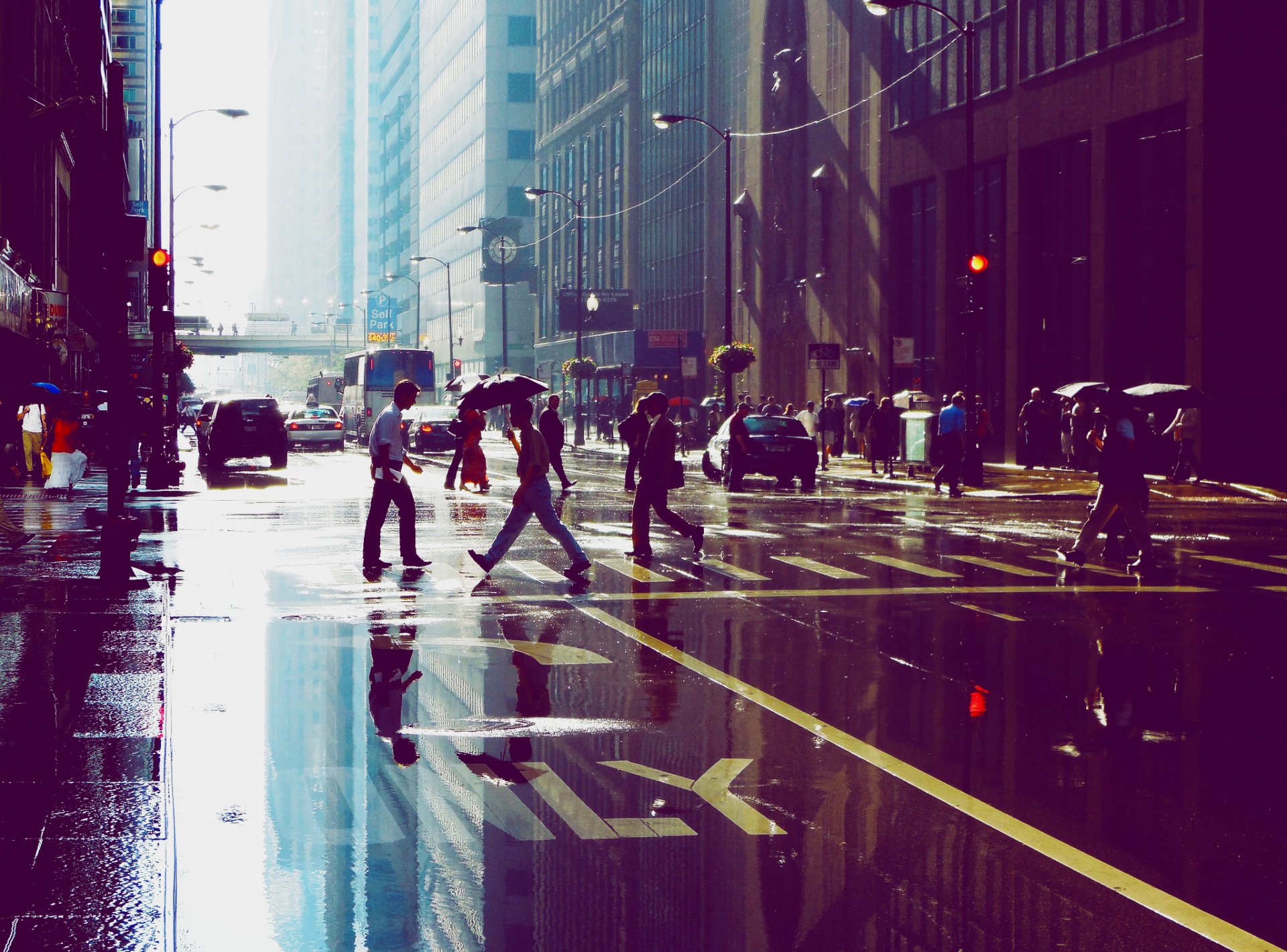 chicago grattacieli edifici persone strada pozzanghera riflessione