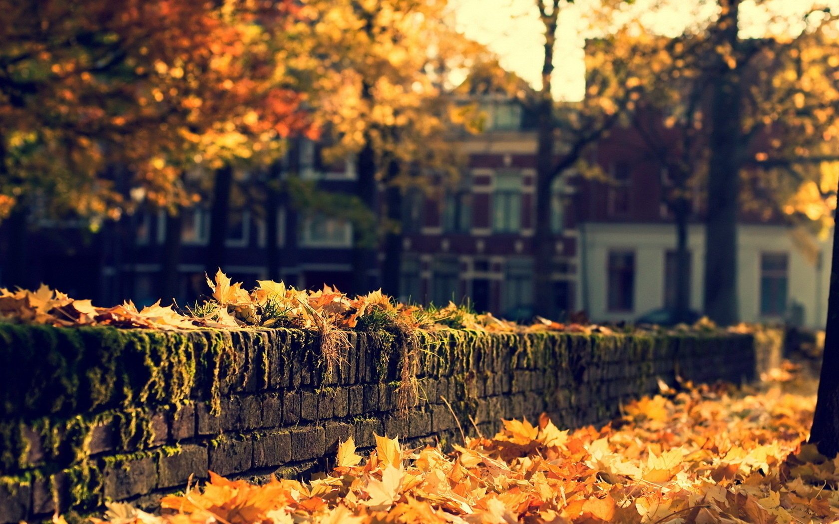 stadt herbst straße