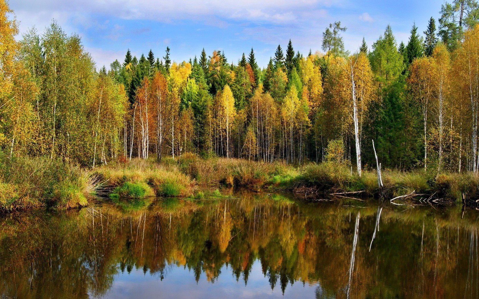 paysage automne étang forêt