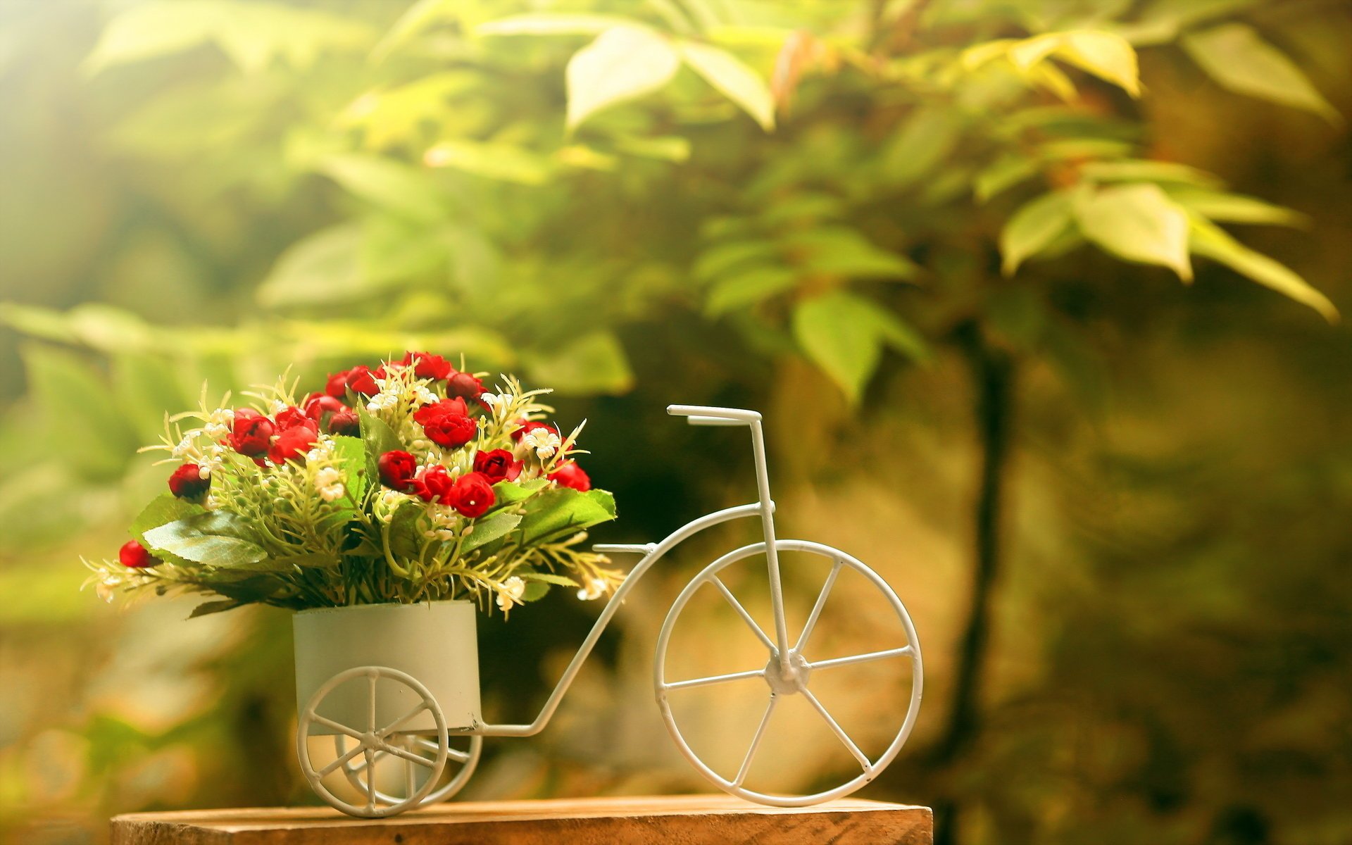 blumen rosen hintergrund fahrrad