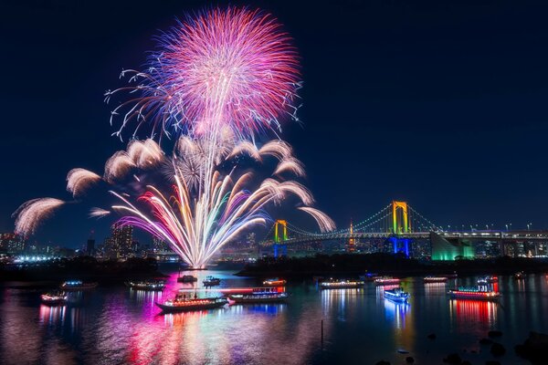 Night festive fireworks in Tokyo