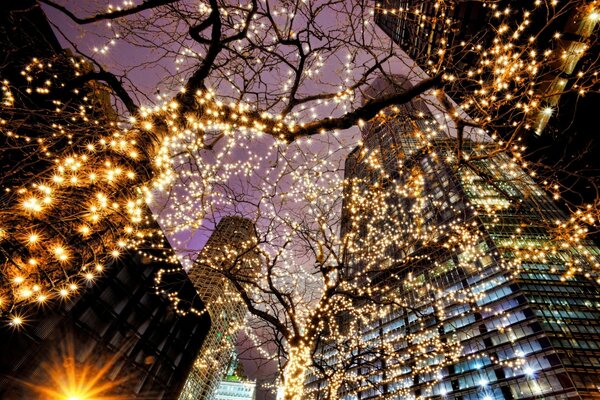 Arbres avec des guirlandes à Chicago