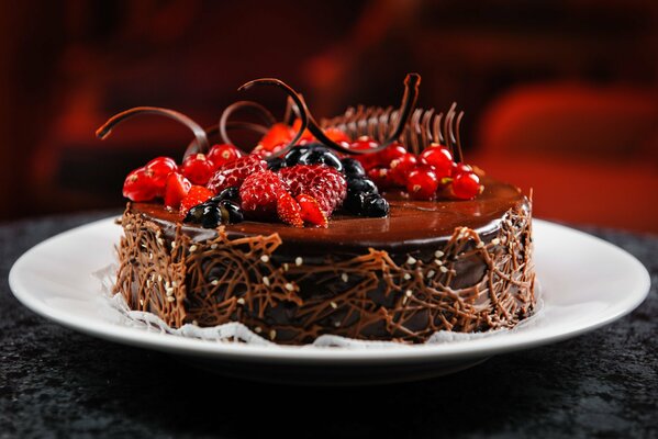 Torta al cioccolato su un piatto bianco decorato con bacche fresche