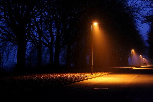 Night gloomy park in the city