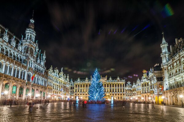 Christmas tree on the square in Brussels at night