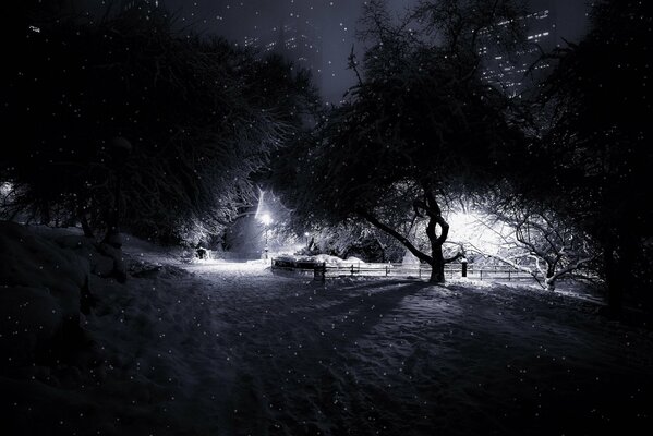 Der verschneite Central Park von Manhattan