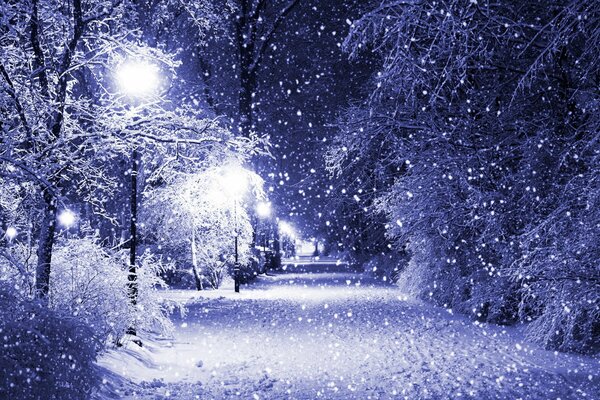 Por la noche en el parque en invierno nieve y linternas