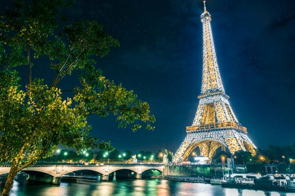 Eiffel Tower in Paris at night