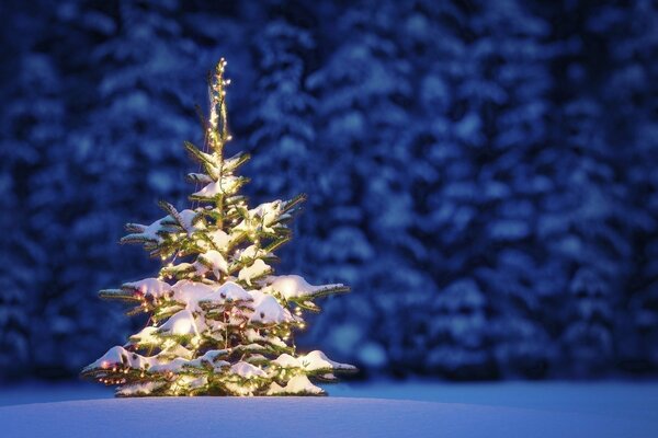 Albero di Natale decorato con ghirlande