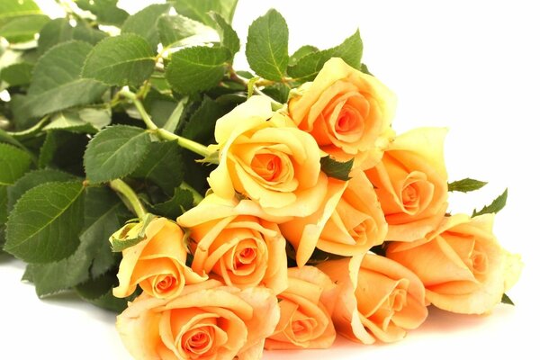 A bouquet of yellow roses lying on the table