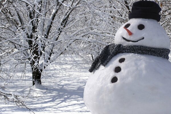 Bonhomme de neige dans la forêt avec écharpe noire