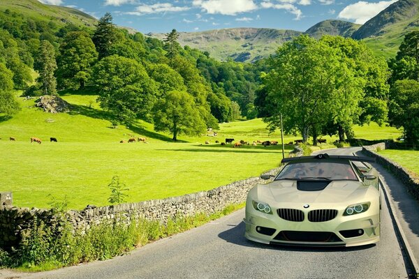 BMW monta en el camino entre las montañas y los árboles