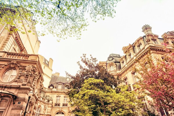 Spring Parisian houses in France